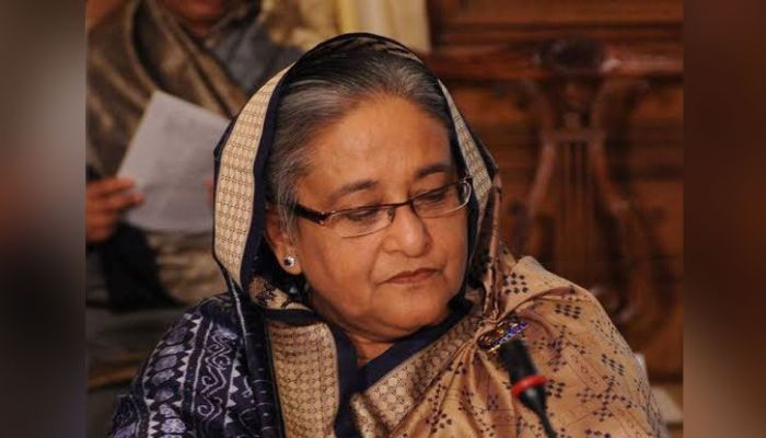সরকার নয়, শেখ হাসিনার প্রত্যর্পণের সিদ্ধান্ত নেবেন ভারতের আদালত