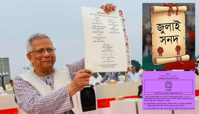 জুলাই সনদ, সংস্কার পরিষদের শপথ ও গণভোট কেন বাতিল নয়