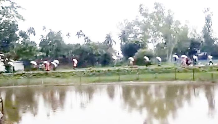 কুড়িগ্রামে ডিলারের সার লুট করেছে কৃষকরা, কৃত্রিম সংকটের অভিযোগ