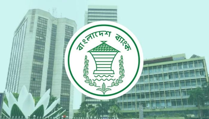 ২০২৫ সালে দেশে কোটিপতির সংখ্যা বেড়েছে ১২ হাজার