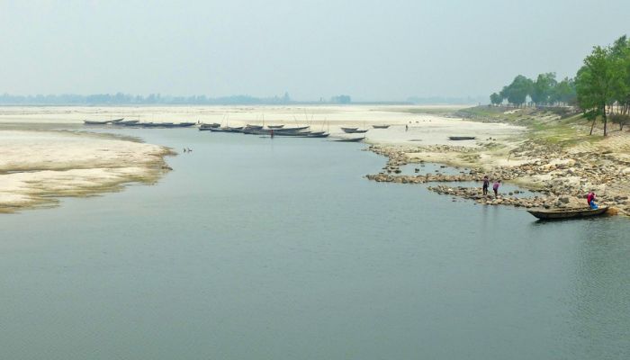 ভারত কেন বাংলাদেশ সীমান্তের নদী-খালে সাপ-কুমির ছাড়তে চায়