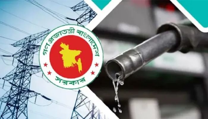 জ্বালানি সংকট নিরসনে পরামর্শ কমিটি, বিরোধীদলও রাজি