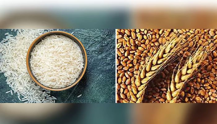 কৃষ্ণসাগরে সংঘাতে বিশ্ববাজারে খাদ্যপণ্যের দাম আরও বাড়বে