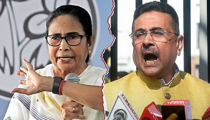 পশ্চিমবঙ্গে কী ঘটেছিল, তৃণমূলকে কীভাবে ঘায়েল করলো বিজেপি