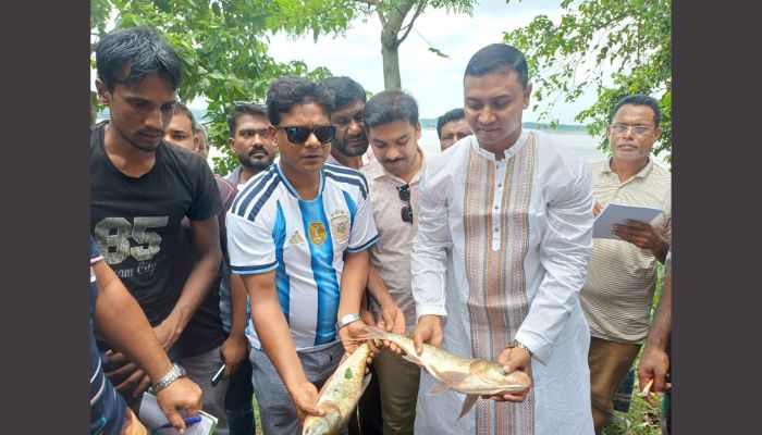 ইজারা ছাড়াই কুষ্টিয়ায় নান্দিয়ার বিল দখল নিলেন বিএনপি নেতারা